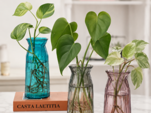 Plain Arcade Vase