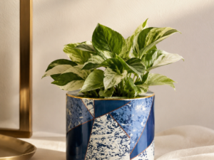 Blue line Vase (small)